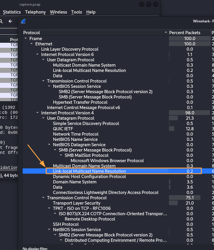 Statistique des paquets et protocoles présents dans la capture  (Wireshark).