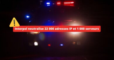 Cybersécurité - Interpol neutralise 22 000 adresses IP et 1 000 serveurs