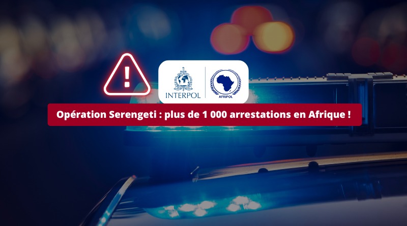 Cybersécurité - Opération Serengeti - plus de 1 000 arrestations en Afrique