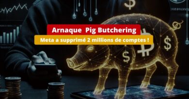 Meta - Lutte contre arnaque Pig Butchering