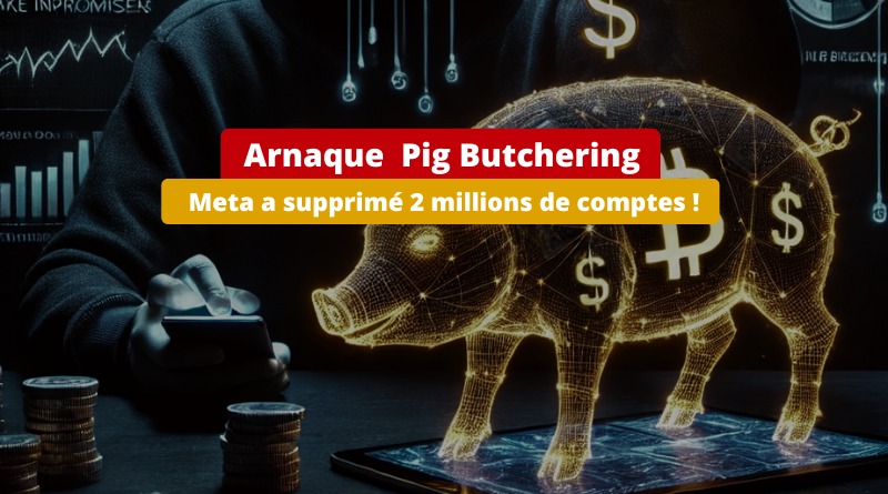 Meta - Lutte contre arnaque Pig Butchering