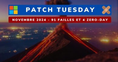 Microsoft Patch Tuesday Novembre 2024