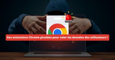 Des extensions Chrome piratées pour voler les données des utilisateurs - 2024