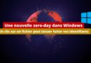 Nouvelle zero-day dans Windows - Fuite identifiants NTLM - Décembre 2024