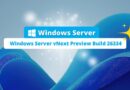 Windows Server 2025 vNext Preview Build 26334