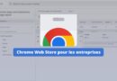 Google lance un Chrome Web Store personnalisable pour les entreprises