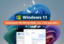 Windows 11 24H2 version Tiny11 très légère