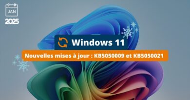 Windows 11 KB5050009 et KB5050021 - Mises à jour janvier 2025