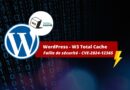 WordPress - W3 Total Cache - CVE-2024-12365