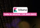 Elastic Kibana - Faille de sécurité - CVE-2025-25015