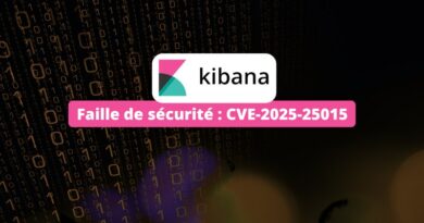 Elastic Kibana - Faille de sécurité - CVE-2025-25015